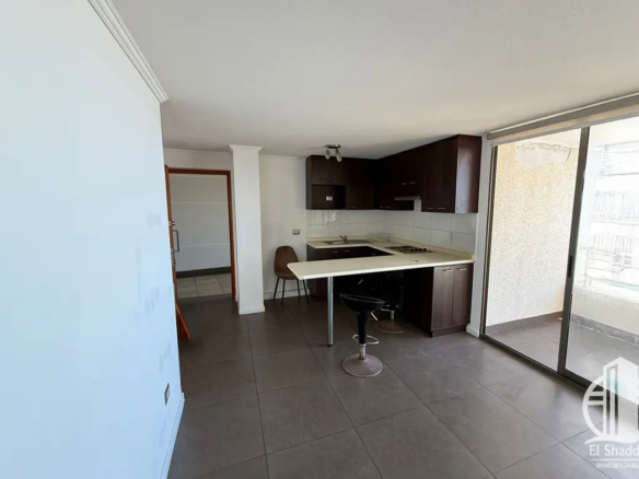 Departamento Salvador Allende, Condominio Activo