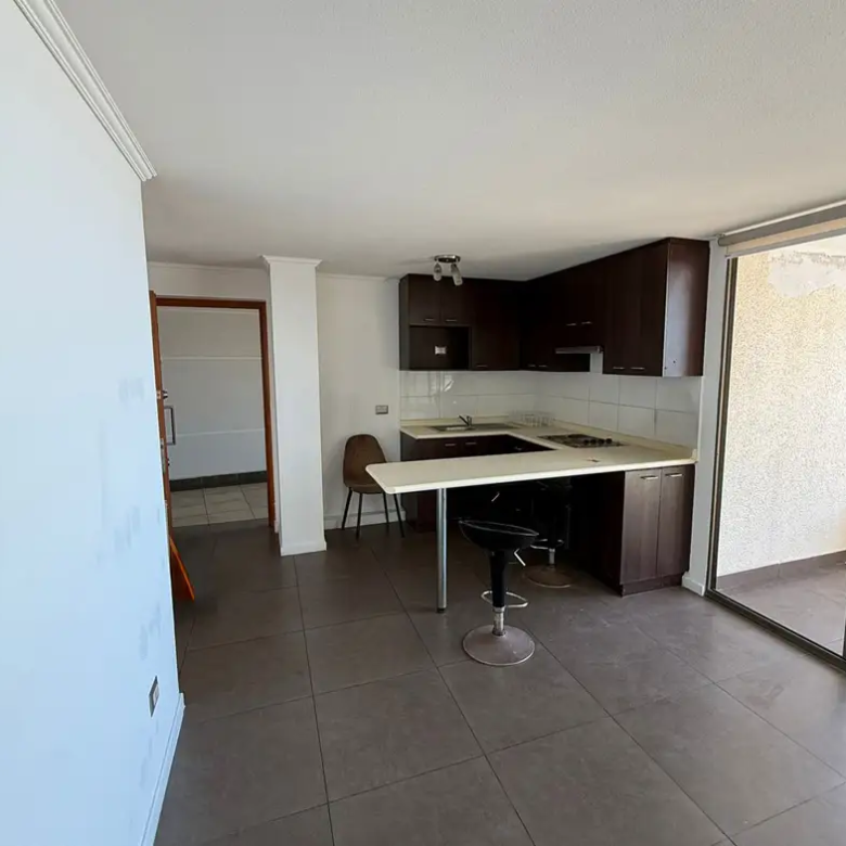 Departamento Salvador Allende, Condominio Activo