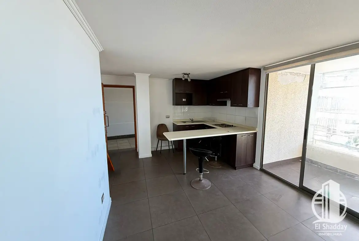 Departamento Salvador Allende, Condominio Activo