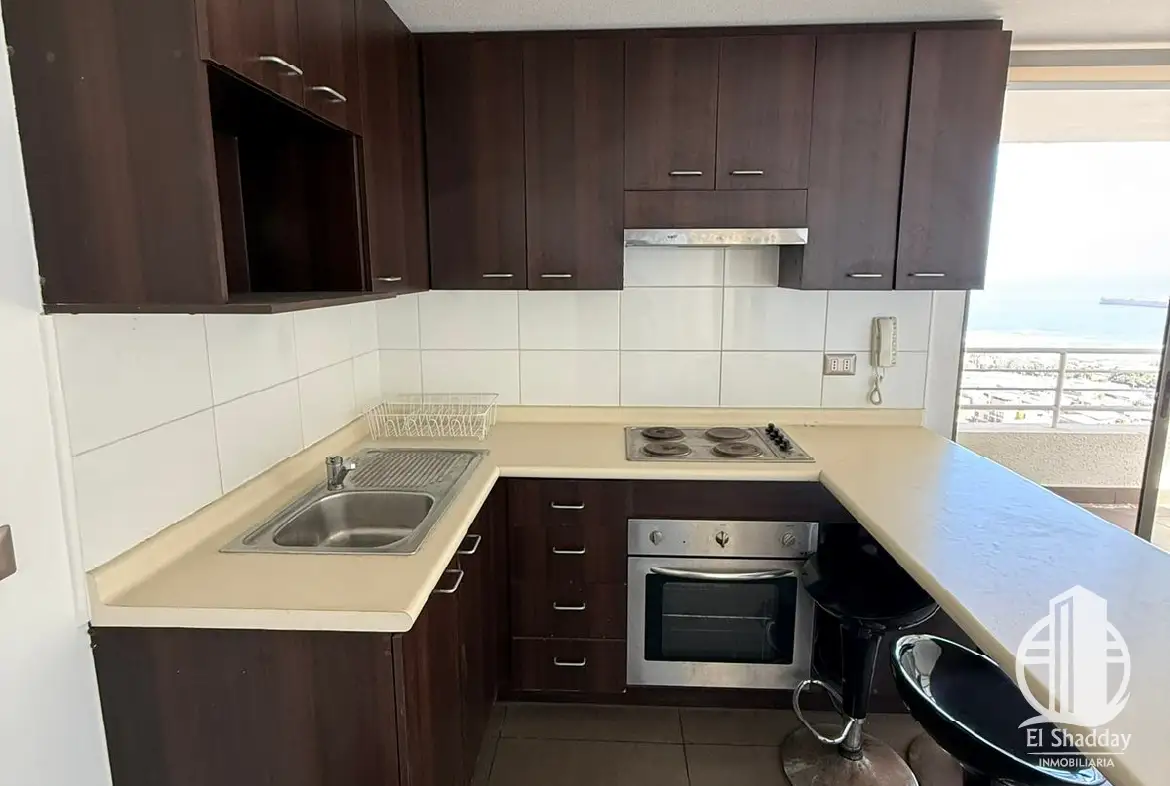 Departamento Salvador Allende, Condominio Activo