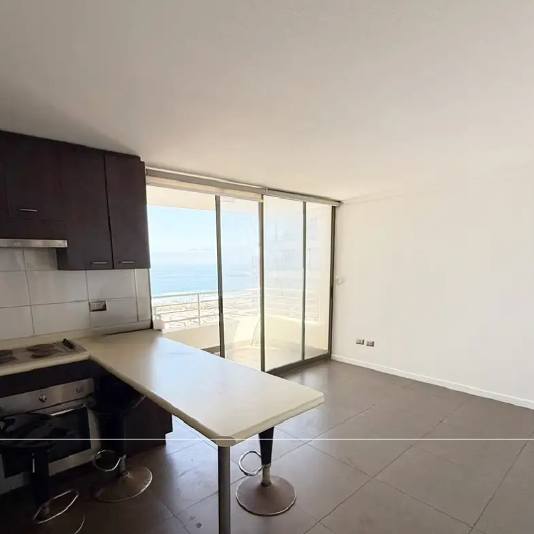 Departamento Salvador Allende, Condominio Activo