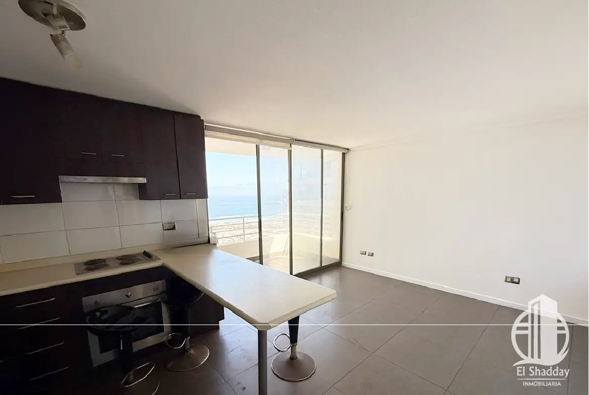 Departamento Salvador Allende, Condominio Activo